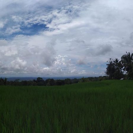 Tegal Jero Homestay ジャティルウィ エクステリア 写真