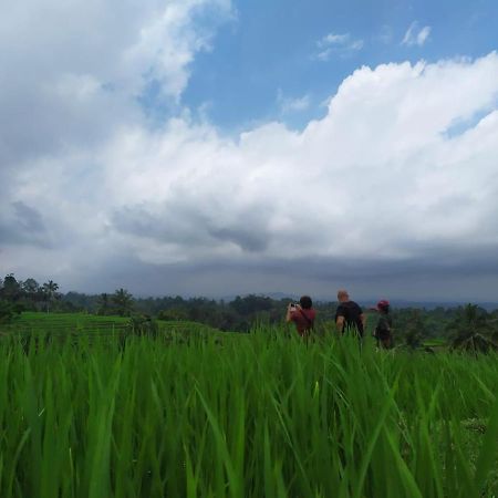 Tegal Jero Homestay ジャティルウィ エクステリア 写真