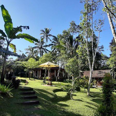Tegal Jero Homestay ジャティルウィ エクステリア 写真