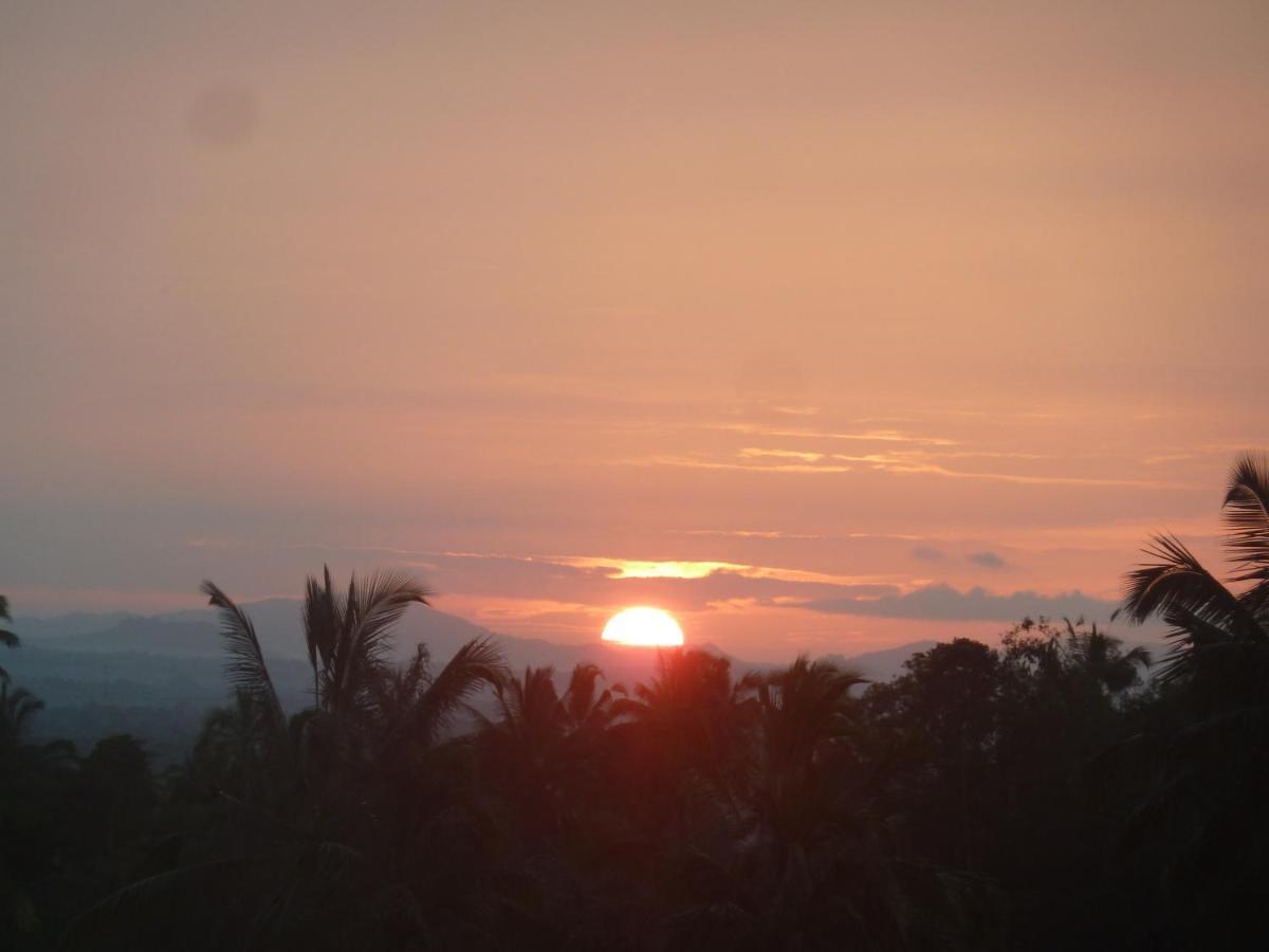 Tegal Jero Homestay ジャティルウィ エクステリア 写真