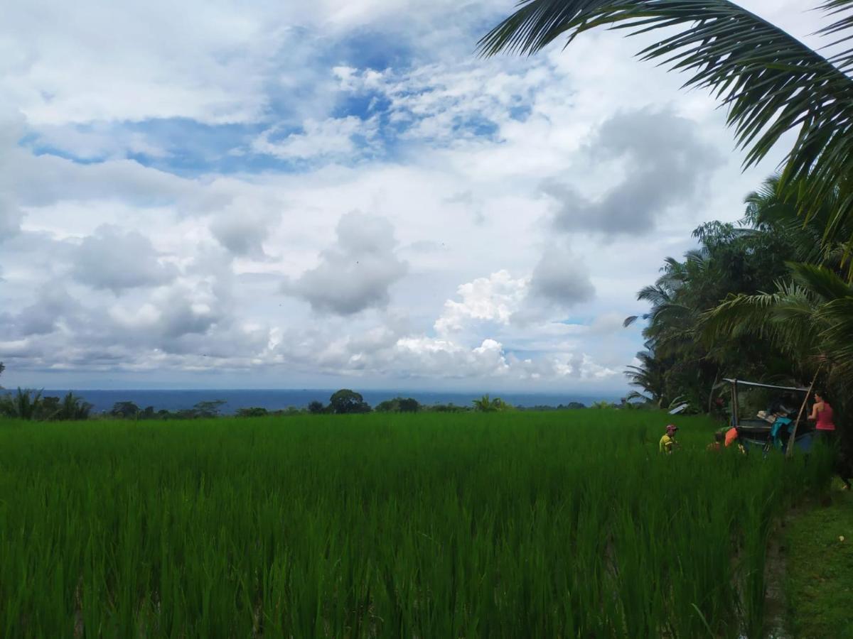 Tegal Jero Homestay ジャティルウィ エクステリア 写真