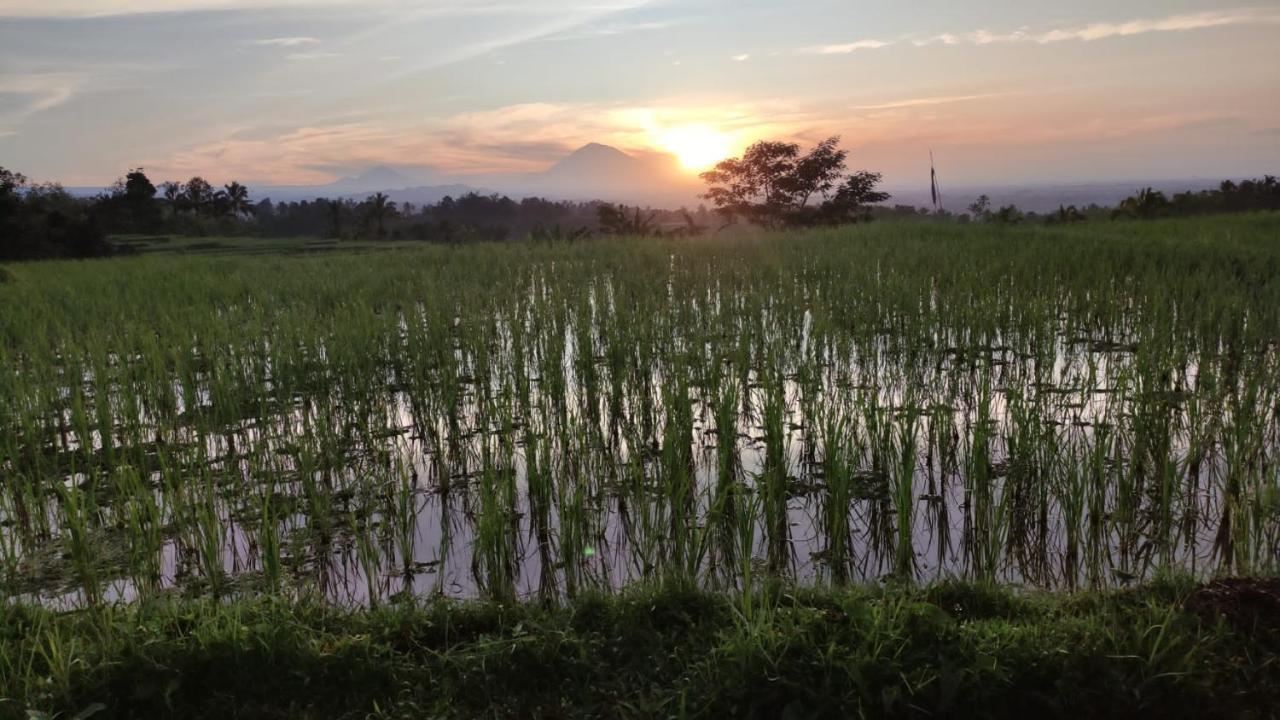 Tegal Jero Homestay ジャティルウィ エクステリア 写真