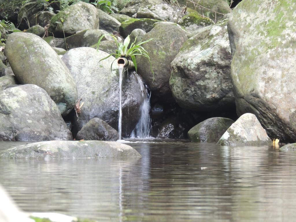 Tegal Jero Homestay ジャティルウィ エクステリア 写真