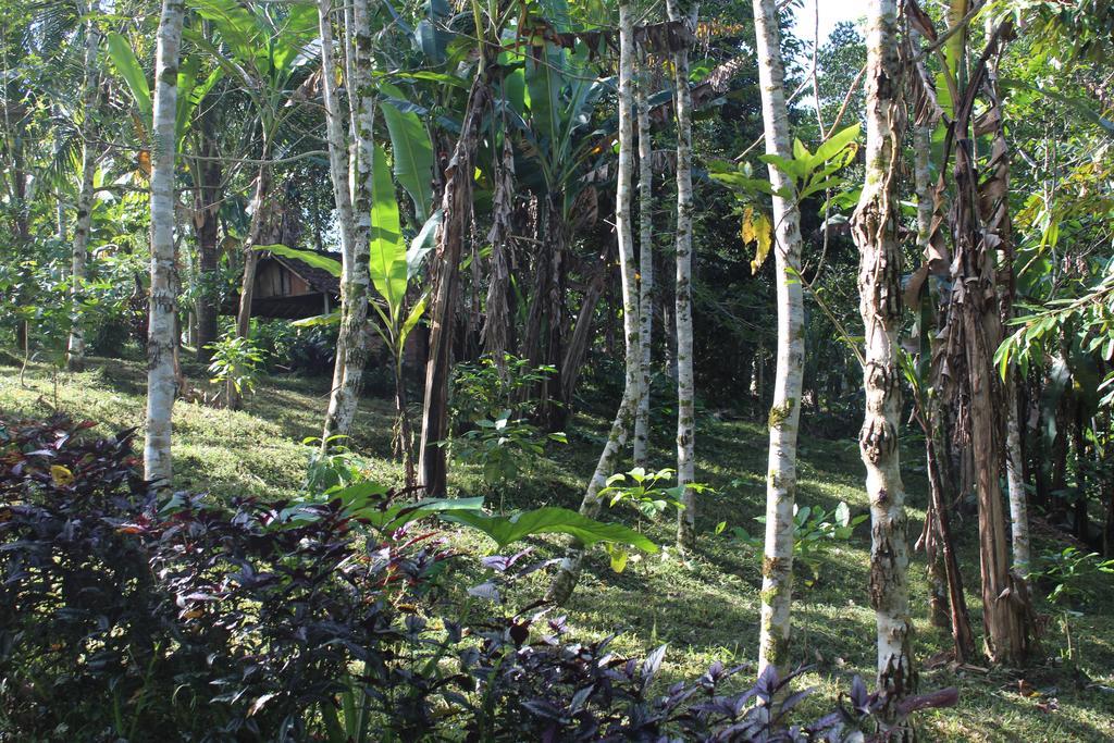 Tegal Jero Homestay ジャティルウィ エクステリア 写真