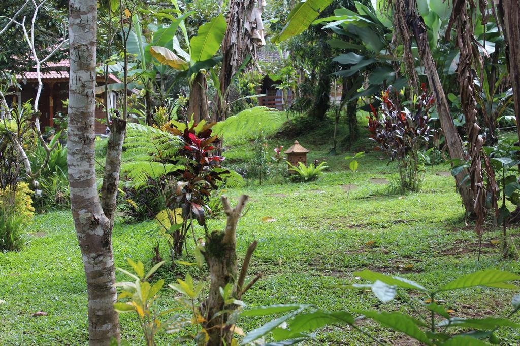 Tegal Jero Homestay ジャティルウィ エクステリア 写真