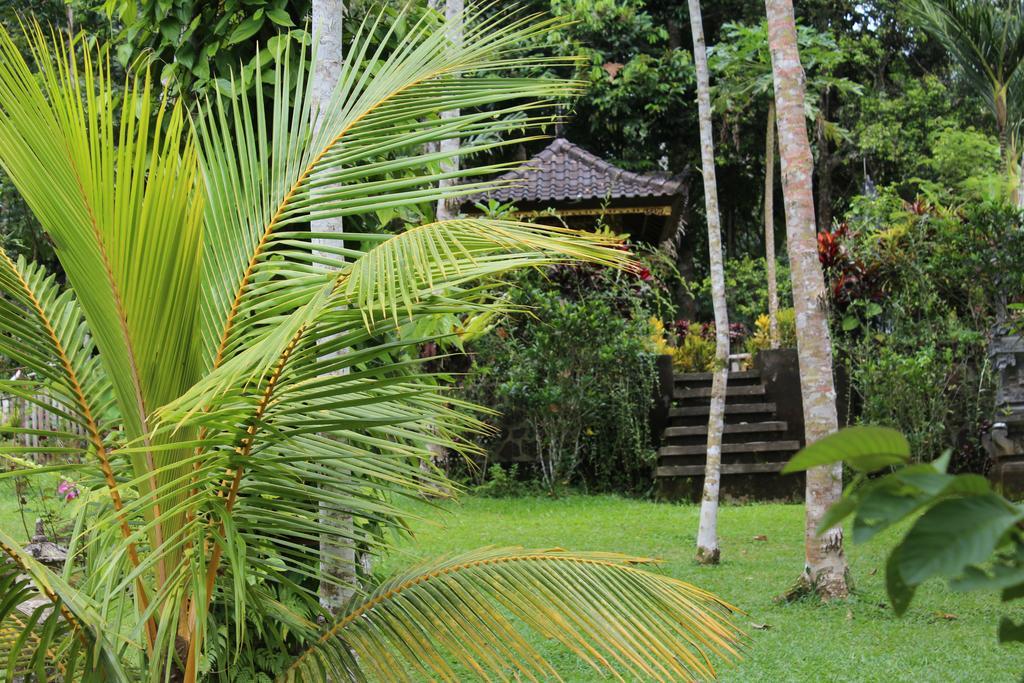 Tegal Jero Homestay ジャティルウィ エクステリア 写真