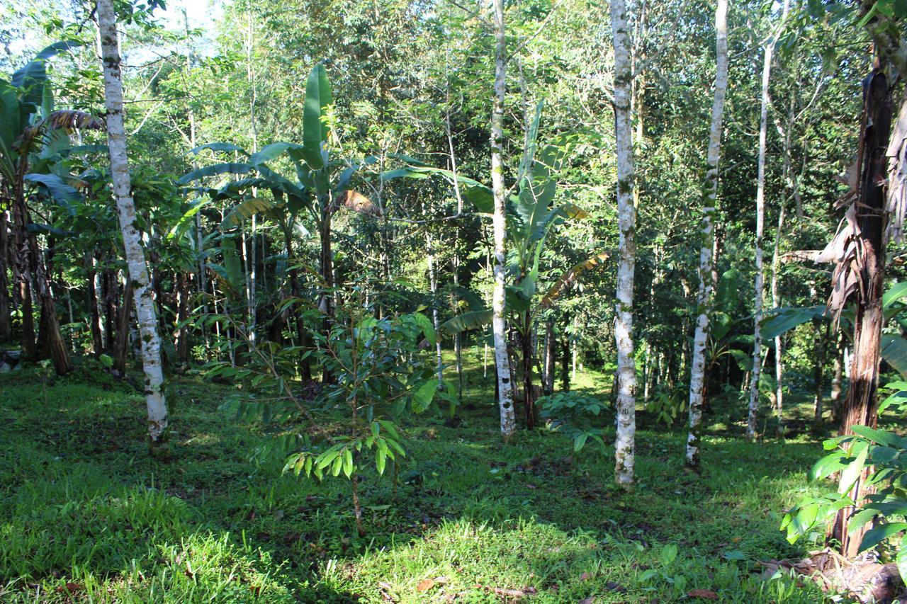 Tegal Jero Homestay ジャティルウィ エクステリア 写真