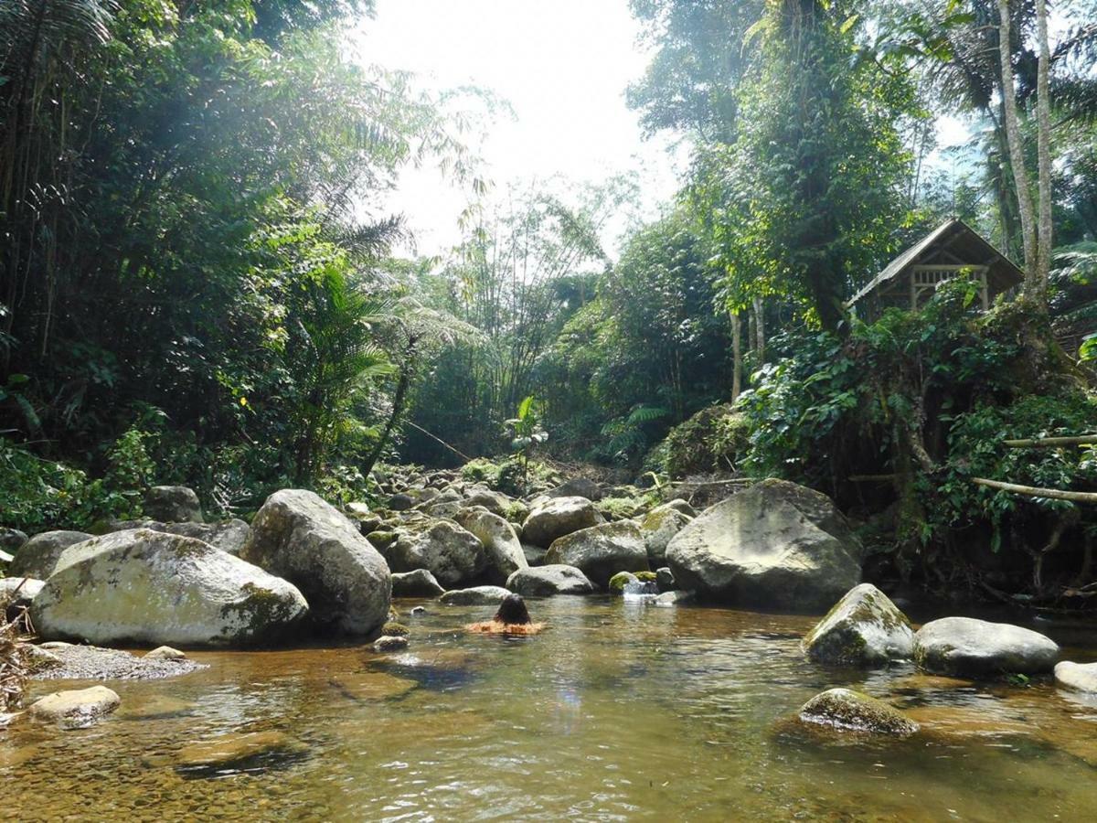 Tegal Jero Homestay ジャティルウィ エクステリア 写真