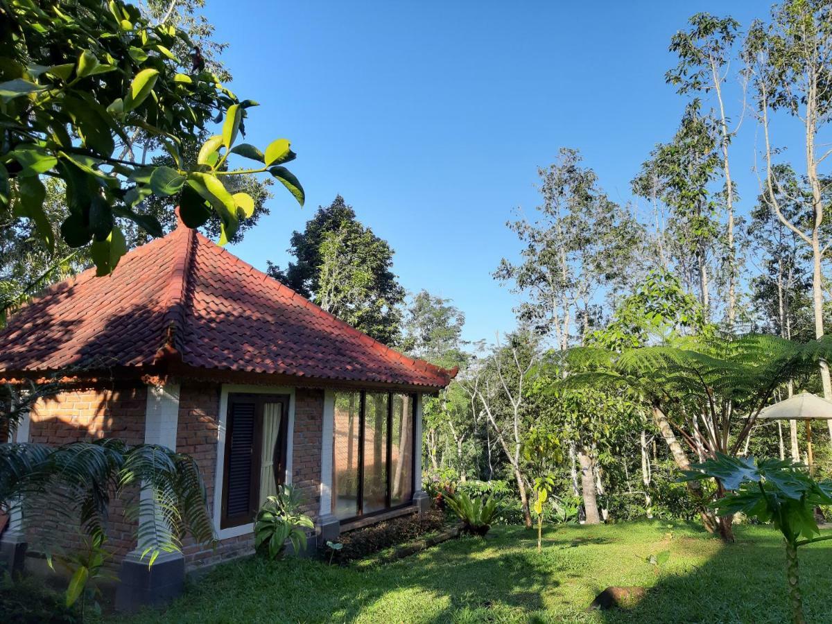 Tegal Jero Homestay ジャティルウィ エクステリア 写真